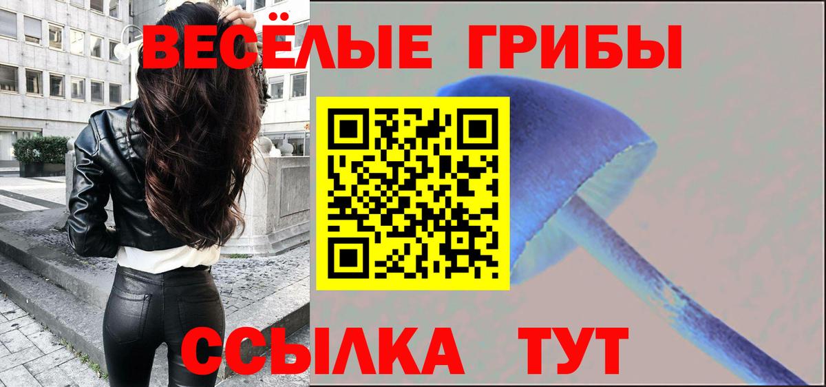 Галлюциногенные грибы Psilocybine cubensis  Вход с VPN  Нижний Новгород  Галлюциногенные грибы Psilocybe 