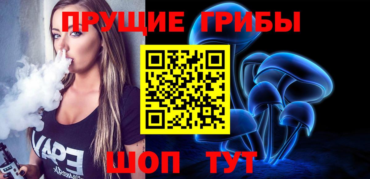 Псилоцибиновые грибы Cubensis Нижний Новгород